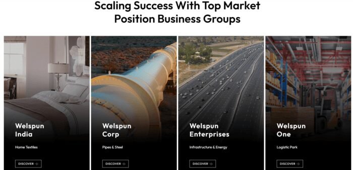Welspun Enterprises Limited Business Group